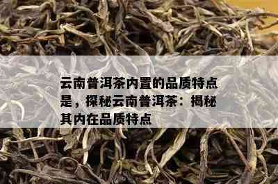 云南普洱茶内置的品质特点是，探秘云南普洱茶：揭秘其内在品质特点