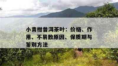 小青柑普洱茶叶：价格、作用、不易散原因、保质期与鉴别方法