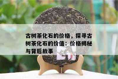 古树茶化石的价格，探寻古树茶化石的价值：价格揭秘与背后故事