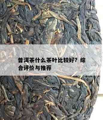 普洱茶什么茶叶比较好？综合评价与推荐