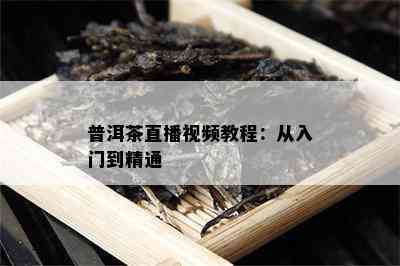 普洱茶直播视频教程：从入门到精通