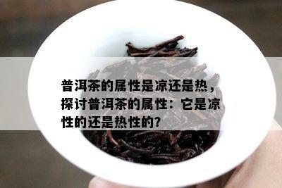 普洱茶的属性是凉还是热，探讨普洱茶的属性：它是凉性的还是热性的？