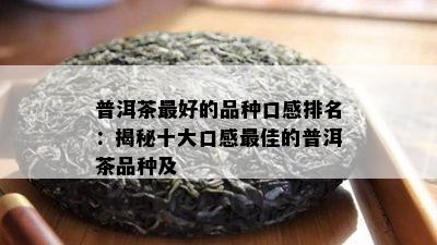 普洱茶更好的品种口感排名：揭秘十大口感更佳的普洱茶品种及