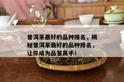 普洱茶更好的品种排名，揭秘普洱茶更好的品种排名，让你成为品鉴高手！