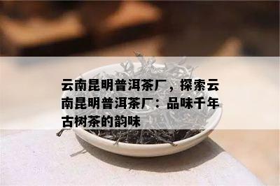 云南昆明普洱茶厂，探索云南昆明普洱茶厂：品味千年古树茶的韵味