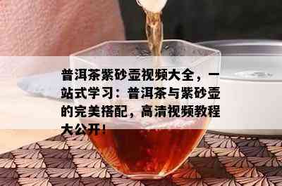 普洱茶紫砂壶视频大全，一站式学习：普洱茶与紫砂壶的完美搭配，高清视频教程大公开！