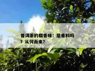 普洱茶的糯香味：是香料吗？从何而来？