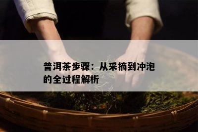 普洱茶步骤：从采摘到冲泡的全过程解析