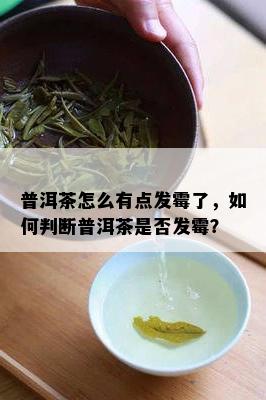 普洱茶怎么有点发霉了，如何判断普洱茶是否发霉？