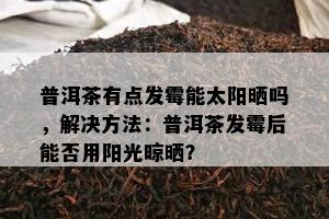 普洱茶有点发霉能太阳晒吗，解决方法：普洱茶发霉后能否用阳光晾晒？