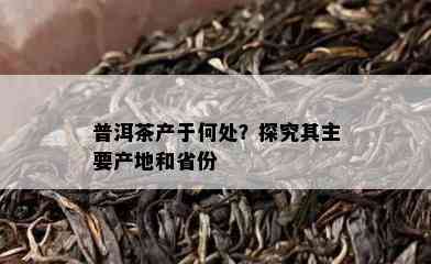 普洱茶产于何处？探究其主要产地和省份