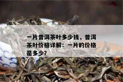 一片普洱茶叶多少钱，普洱茶叶价格详解：一片的价格是多少？