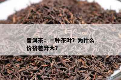 普洱茶：一种茶叶？为什么价格差异大？