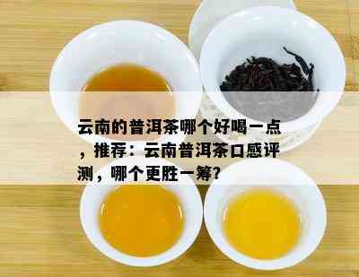 云南的普洱茶哪个好喝一点，推荐：云南普洱茶口感评测，哪个更胜一筹？