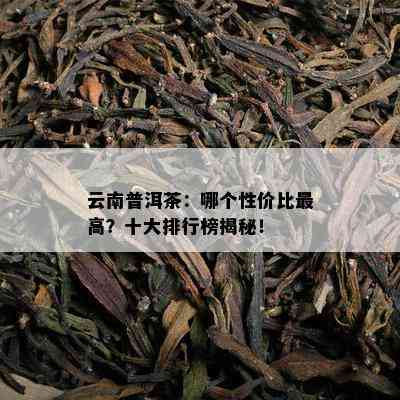 云南普洱茶：哪个性价比更高？十大排行榜揭秘！