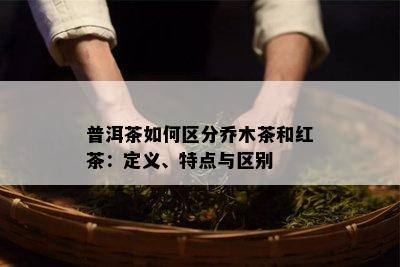 普洱茶如何区分乔木茶和红茶：定义、特点与区别