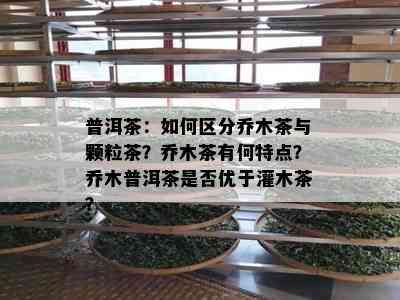 普洱茶：如何区分乔木茶与颗粒茶？乔木茶有何特点？乔木普洱茶是否优于灌木茶？