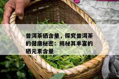 普洱茶硒含量，探究普洱茶的健康秘密：揭秘其丰富的硒元素含量