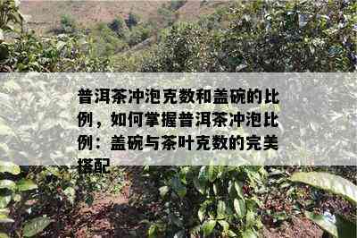 普洱茶冲泡克数和盖碗的比例，如何掌握普洱茶冲泡比例：盖碗与茶叶克数的完美搭配