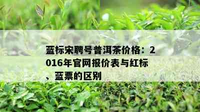 蓝标宋聘号普洱茶价格：2016年官网报价表与红标、蓝票的区别