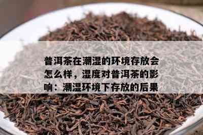 普洱茶在潮湿的环境存放会怎么样，湿度对普洱茶的影响：潮湿环境下存放的后果