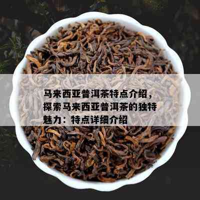 马来西亚普洱茶特点介绍，探索马来西亚普洱茶的独特魅力：特点详细介绍