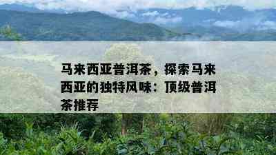 马来西亚普洱茶，探索马来西亚的独特风味：顶级普洱茶推荐