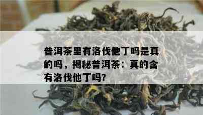 普洱茶里有洛伐他丁吗是真的吗，揭秘普洱茶：真的含有洛伐他丁吗？