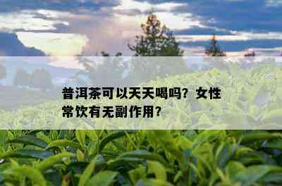 普洱茶可以天天喝吗？女性常饮有无副作用？