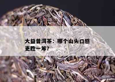 大益普洱茶：哪个山头口感更胜一筹？