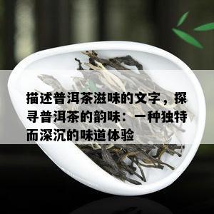 描述普洱茶滋味的文字，探寻普洱茶的韵味：一种独特而深沉的味道体验