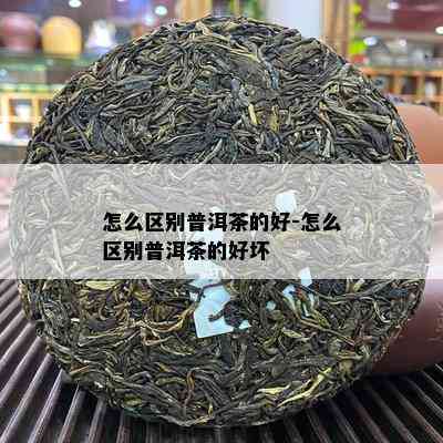 怎么区别普洱茶的好-怎么区别普洱茶的好坏