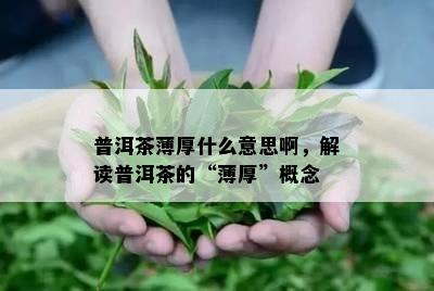 普洱茶薄厚什么意思啊，解读普洱茶的“薄厚”概念