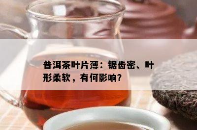 普洱茶叶片薄：锯齿密、叶形柔软，有何影响？