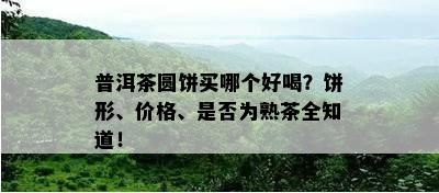 普洱茶圆饼买哪个好喝？饼形、价格、是否为熟茶全知道！