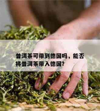 普洱茶可带到德国吗，能否将普洱茶带入德国？