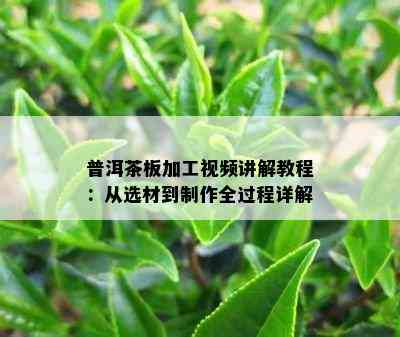 普洱茶板加工视频讲解教程：从选材到制作全过程详解