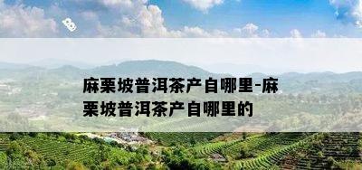 麻栗坡普洱茶产自哪里-麻栗坡普洱茶产自哪里的