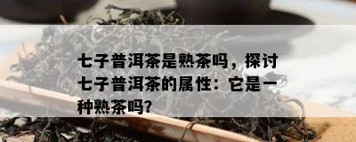 七子普洱茶是熟茶吗，探讨七子普洱茶的属性：它是一种熟茶吗？