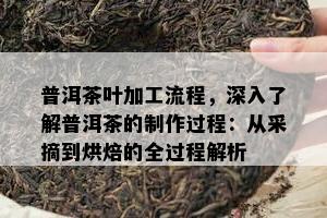 普洱茶叶加工流程，深入了解普洱茶的制作过程：从采摘到烘焙的全过程解析