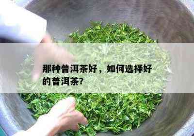 那种普洱茶好，如何选择好的普洱茶？