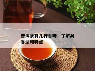 普洱茶有几种香味：了解其香型和特点