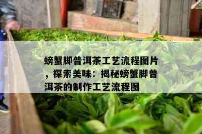 螃蟹脚普洱茶工艺流程图片，探索美味：揭秘螃蟹脚普洱茶的制作工艺流程图