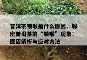 普洱茶锁喉是什么原因，解密普洱茶的“锁喉”现象：原因解析与应对方法