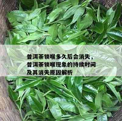 普洱茶锁喉多久后会消失，普洱茶锁喉现象的持续时间及其消失原因解析