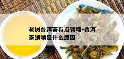 老树普洱茶有点锁喉-普洱茶锁喉是什么原因