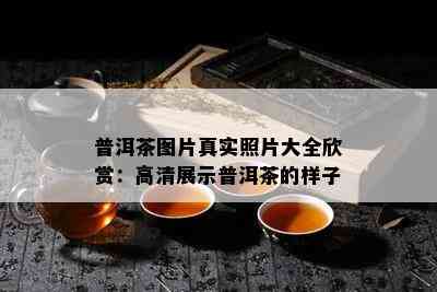 普洱茶图片真实照片大全欣赏：高清展示普洱茶的样子