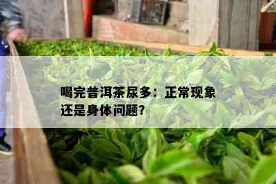 喝完普洱茶尿多：正常现象还是身体问题？