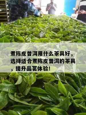 煮陈皮普洱用什么茶具好，选择适合煮陈皮普洱的茶具，提升品茗体验！