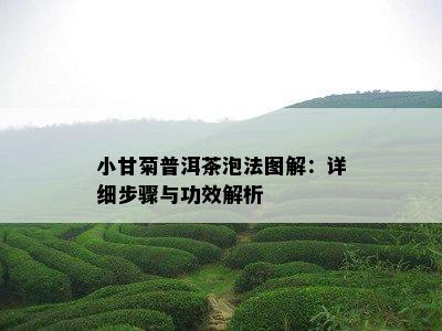 小甘菊普洱茶泡法图解：详细步骤与功效解析